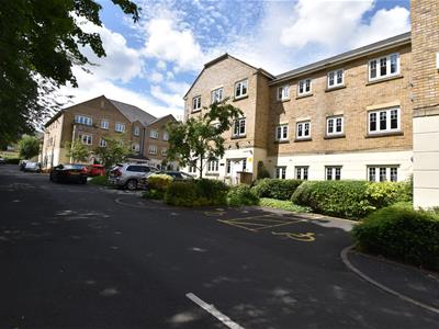 Picture 8